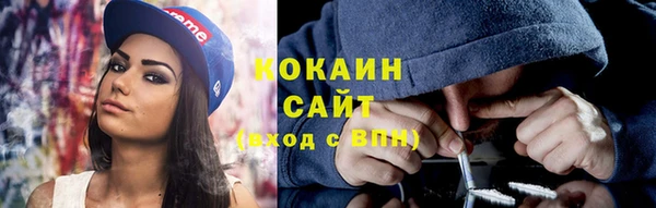 прущие грибы Надым