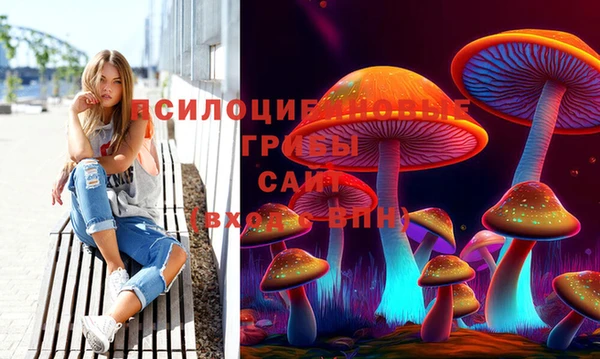 таблы Рославль