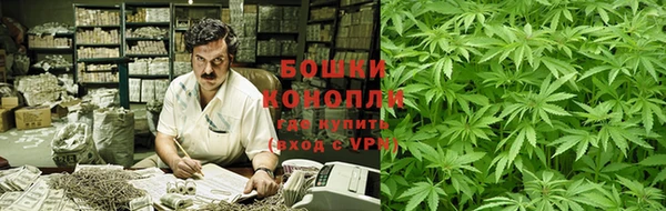 сатива Приозерск