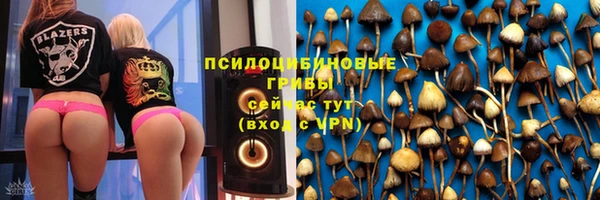 сатива Приозерск